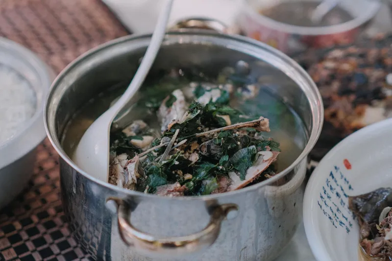 What Medieval Healers Knew About Bone Broth Fasting That Modern Immunology Is Just Now Catching Up On