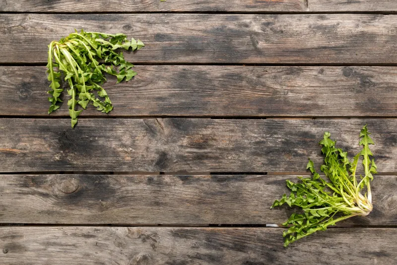 Dandelions, Gentian, and the Taste We Were Taught to Fear: Reclaiming Bitter Foods for a Healthier Gut